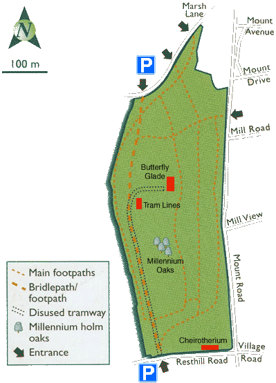 Map  of  Storeton Woods